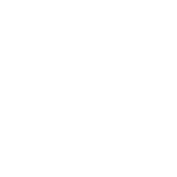 Doxfen Interactive Logo